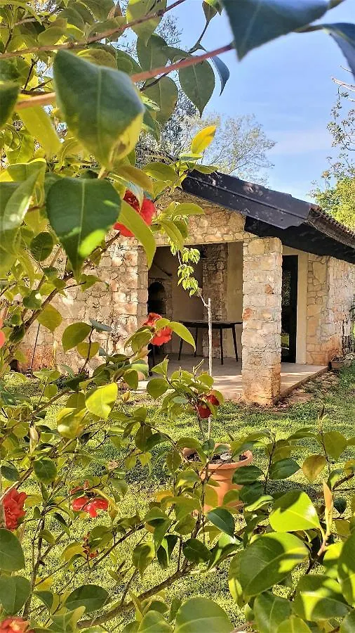 House Nono Bepo In Small Istrian Village Brtonigla 0*,  Chorwacja